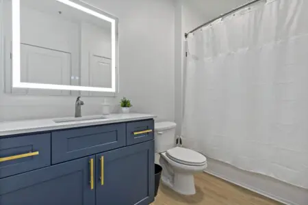 46d7c51e 4391 4a teM87.jpg