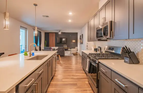 4b5c56a2 4c4d 42 v dyW.jpg