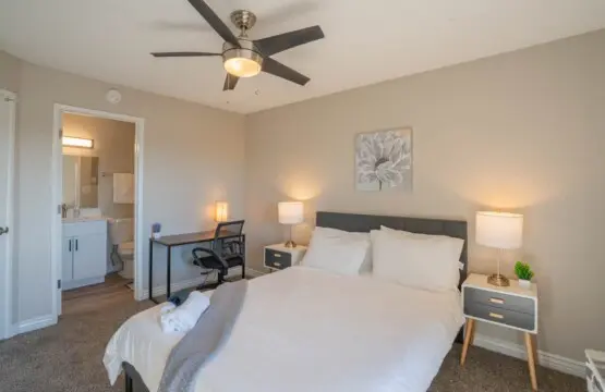 53080a68 6b70 46 CdDSo.jpg