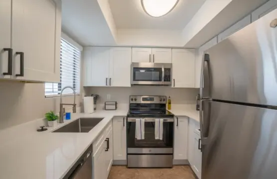 55f42a61 7d19 46 jXKMK.jpg