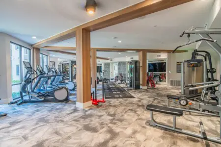 566d9d3f 974f 46 6Whal.jpg