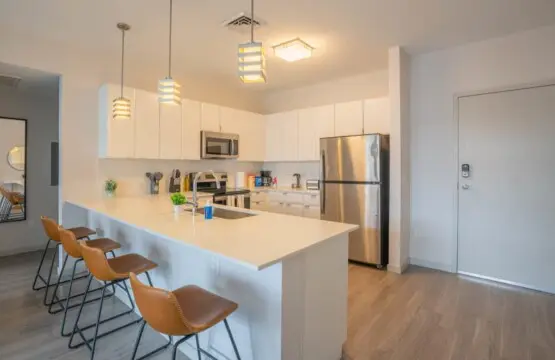 577b86ef ed8b 48 sNmAO.jpg