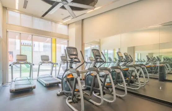 67e8b546 4e65 4c OZ mt.jpg