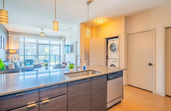 a4eaaf18 edae 46 S9gI0.jpg