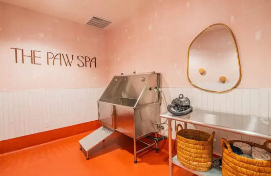 ae7316a7 8734 48 QVKtB.jpg