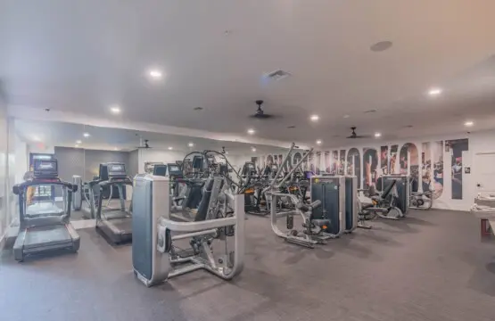 b498239c 5abd 4a YfdSP.jpg