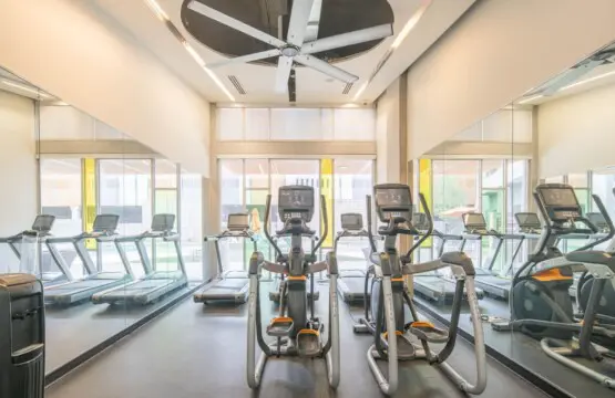 c241d7e0 32c5 4b Y wqY.jpg