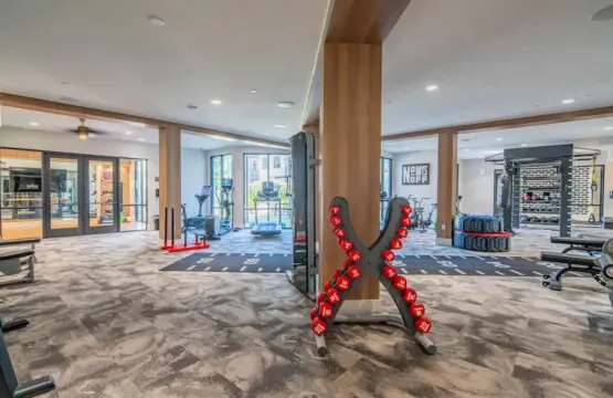 d225d490 f655 45 ssTfi.jpg