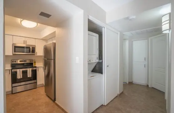 dc79105c 7bfd 43 nM2Wy.jpg