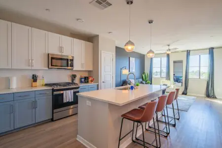 e3aec899 b295 45 iElvi.jpg