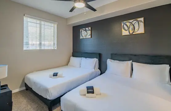 078e42b9 5457 4a SYN D.jpg