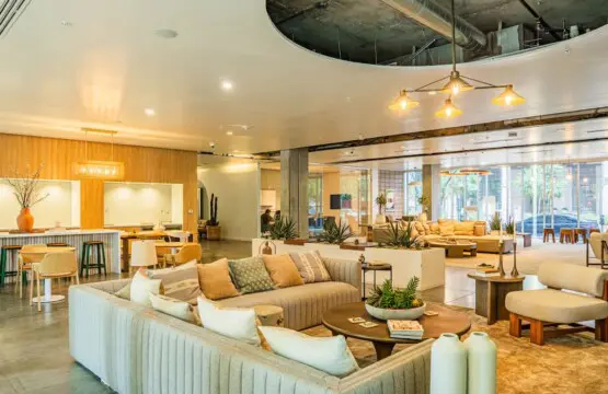 b2c8394d 7954 44 B63Cq.jpg