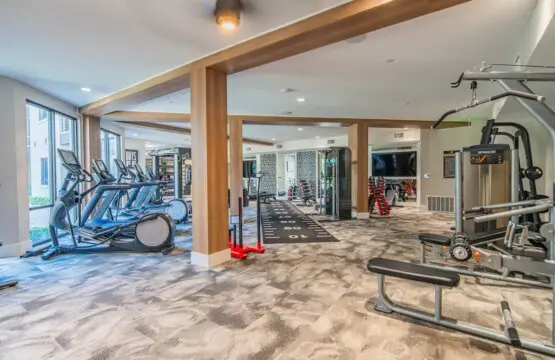 478e81e6 b62d 48 fb3en.jpg