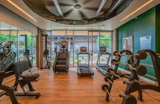 excin9wbzaibppqxgovh