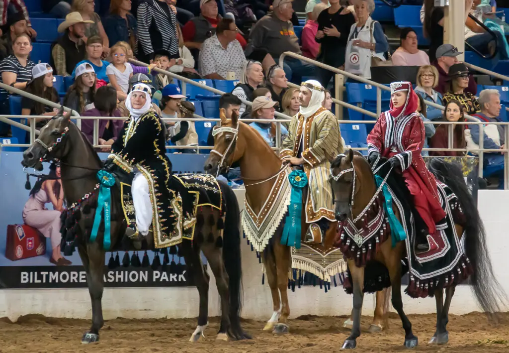 02 26 22 ARABIAN HORSE SHOW 1623 1 8A9BE7CF A712 4165 8B4972353F58F5EC eec468ba f35a 405e 995749096e172b19