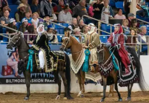02 26 22 ARABIAN HORSE SHOW 1623 1 8A9BE7CF A712 4165 8B4972353F58F5EC eec468ba f35a 405e 995749096e172b19