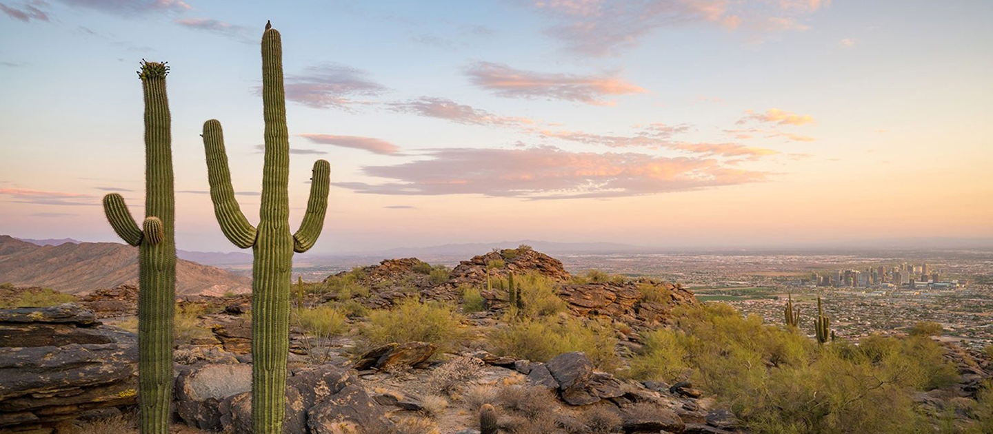 1ST PICTURE FOR POSTING TOM