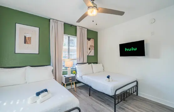 eaun2lfotidpnczqnsni