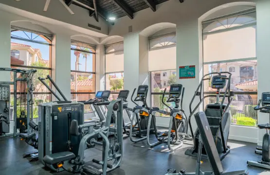 laktfyduynk5cege2cs3