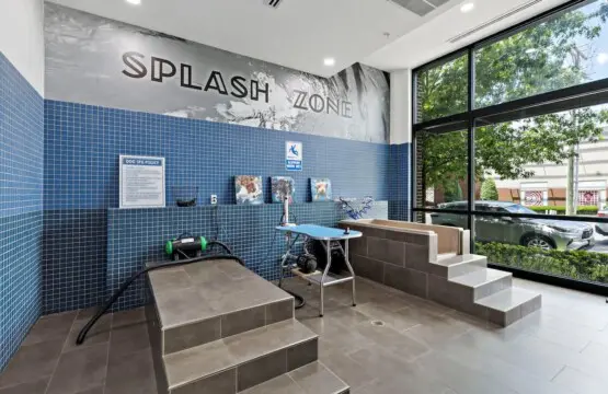 747900f9 5dd5 48 n6eTO