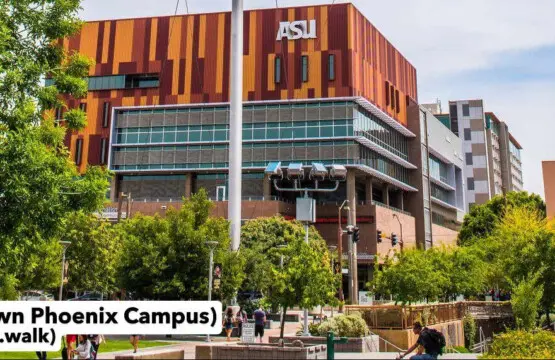 esnk6t8wcb01t1zefw4g