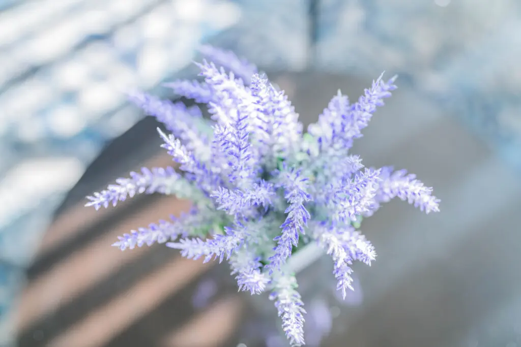 louvb8m6fn9cckaaq3kv