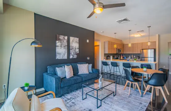 p1vjkdszm8y9cpcxokpw