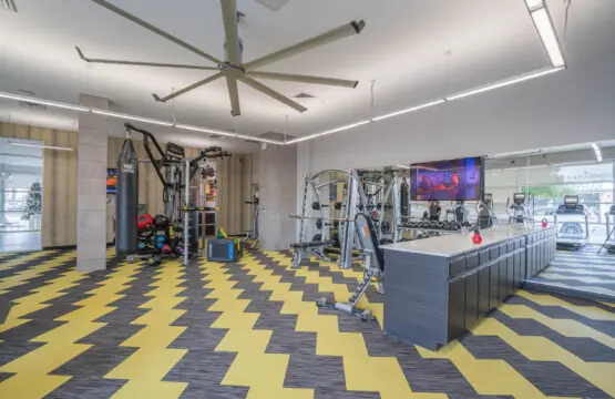 pt1mo1pqqcfoylohfrdq