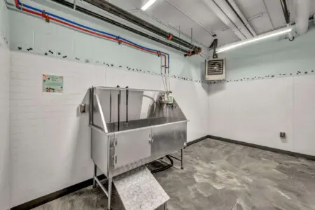 q1ybymqbubhdyprhkvjc