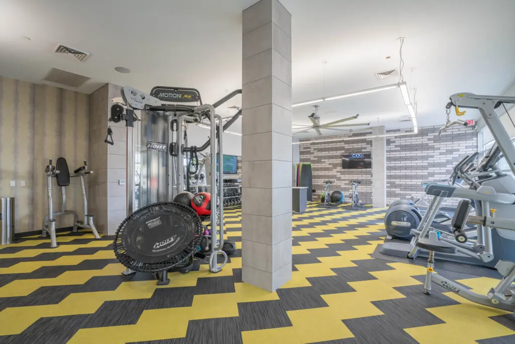 rq06ptte7xloj8zkd6ac