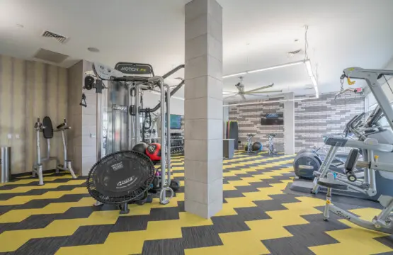 rq06ptte7xloj8zkd6ac