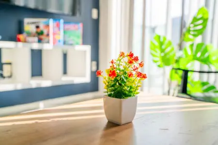 w2ebdjcmdtoudeh5qprk