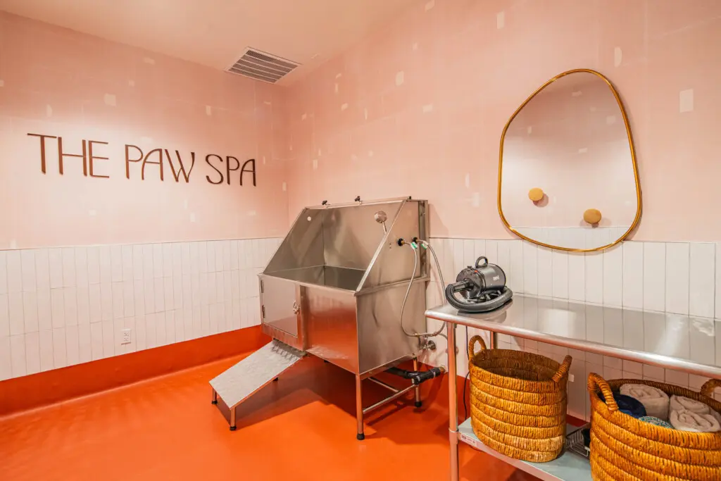 xmf1ggmh8t51s9tatmsd