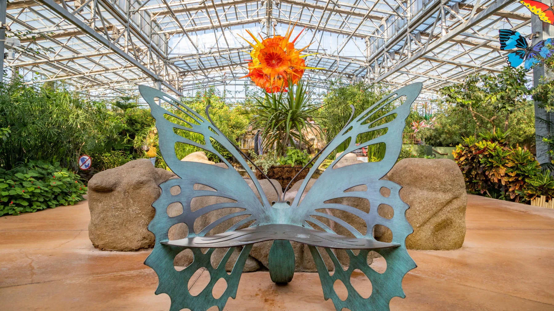 478562 Scottsdale Arz