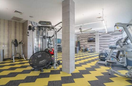 rq06ptte7xloj8zkd6ac