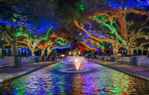 Zoo Lights 0006 0065